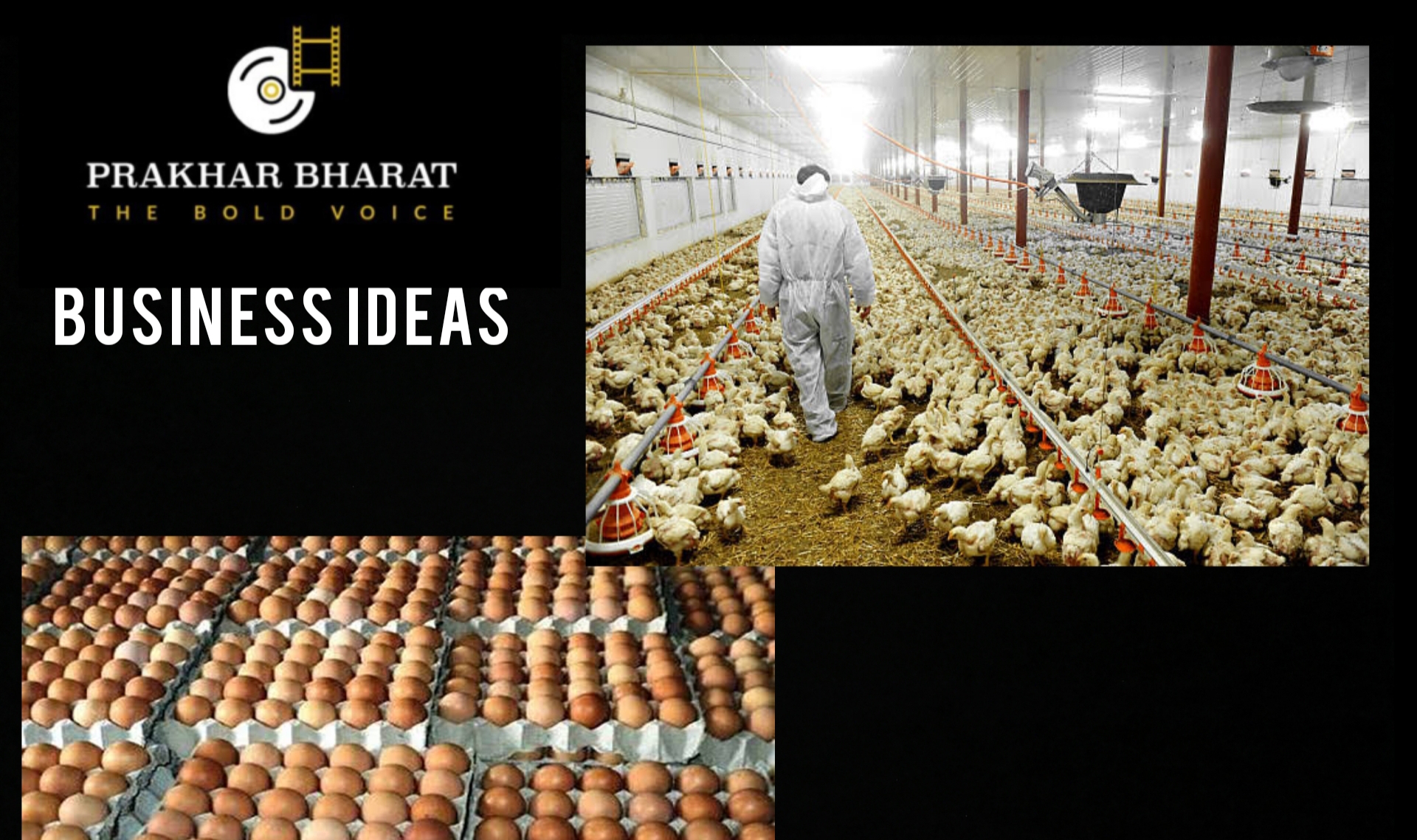 chicken farming business plan in hindi